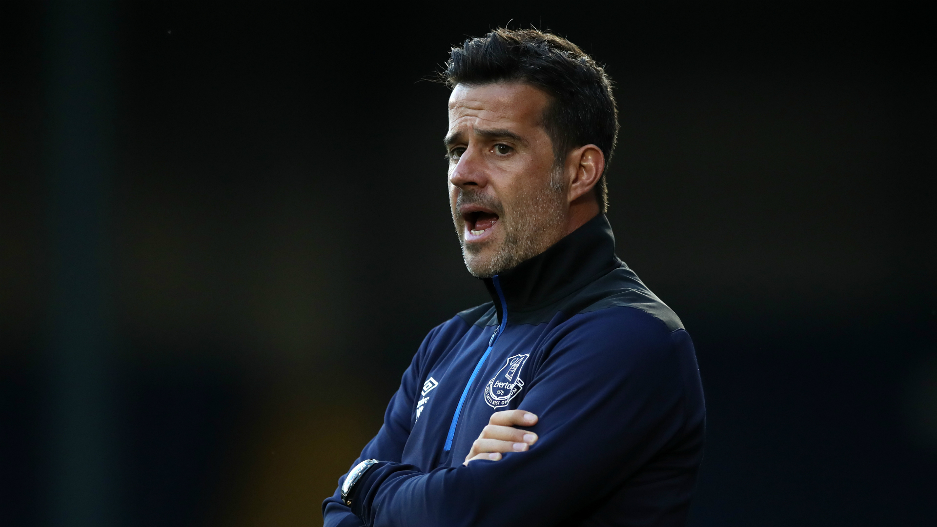 关注和喜爱 关注和喜爱